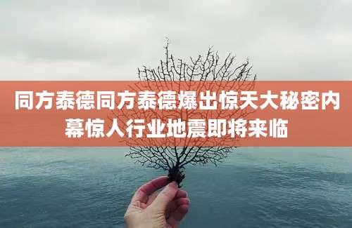 同方泰德同方泰德爆出惊天大秘密内幕惊人行业地震即将来临
