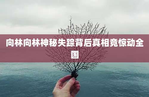 向林向林神秘失踪背后真相竟惊动全国