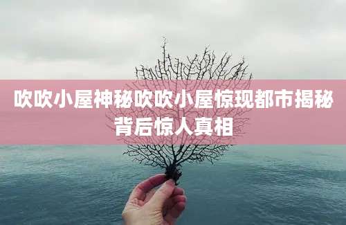 吹吹小屋神秘吹吹小屋惊现都市揭秘背后惊人真相