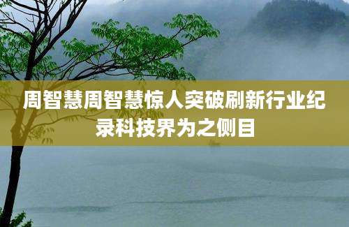 周智慧周智慧惊人突破刷新行业纪录科技界为之侧目