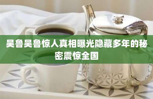 吴鲁吴鲁惊人真相曝光隐藏多年的秘密震惊全国