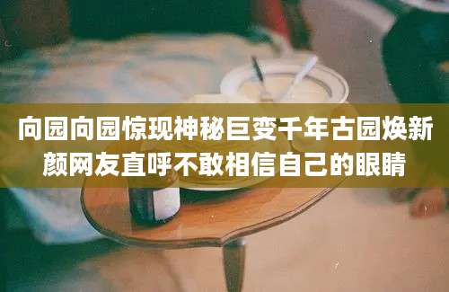 向园向园惊现神秘巨变千年古园焕新颜网友直呼不敢相信自己的眼睛