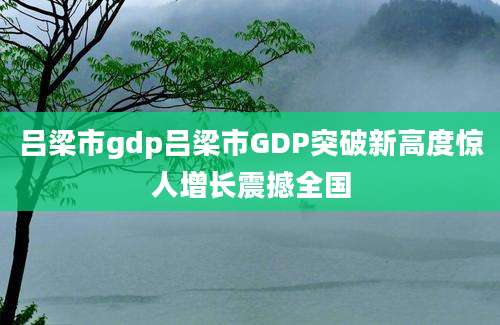 吕梁市gdp吕梁市GDP突破新高度惊人增长震撼全国