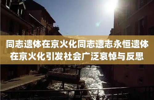 同志遗体在京火化同志遗志永恒遗体在京火化引发社会广泛哀悼与反思