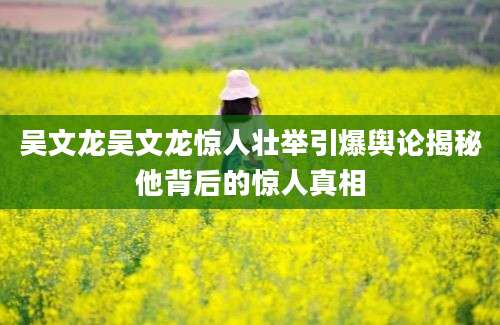 吴文龙吴文龙惊人壮举引爆舆论揭秘他背后的惊人真相