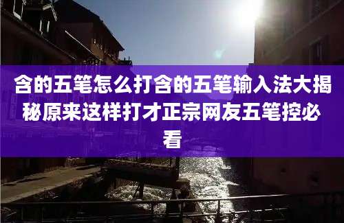 含的五笔怎么打含的五笔输入法大揭秘原来这样打才正宗网友五笔控必看