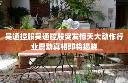 吴通控股吴通控股突发惊天大动作行业震动真相即将揭晓