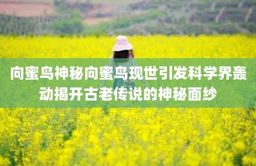 向蜜鸟神秘向蜜鸟现世引发科学界轰动揭开古老传说的神秘面纱