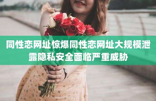 同性恋网址惊爆同性恋网址大规模泄露隐私安全面临严重威胁