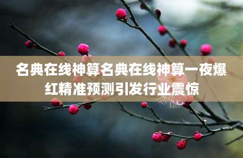 名典在线神算名典在线神算一夜爆红精准预测引发行业震惊