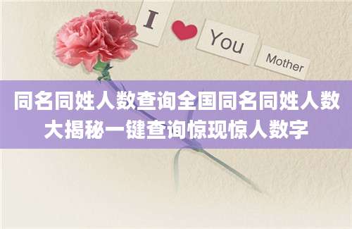 同名同姓人数查询全国同名同姓人数大揭秘一键查询惊现惊人数字