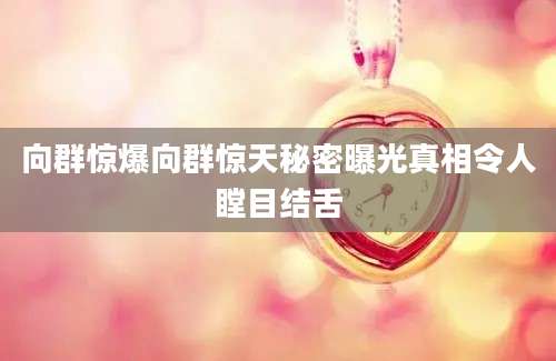 向群惊爆向群惊天秘密曝光真相令人瞠目结舌