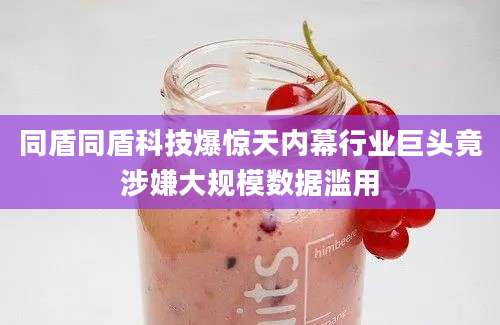 同盾同盾科技爆惊天内幕行业巨头竟涉嫌大规模数据滥用