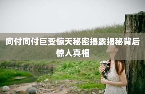 向付向付巨变惊天秘密揭露揭秘背后惊人真相