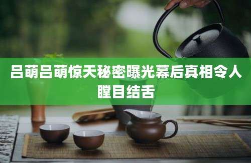 吕萌吕萌惊天秘密曝光幕后真相令人瞠目结舌