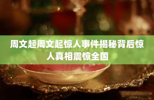 周文起周文起惊人事件揭秘背后惊人真相震惊全国